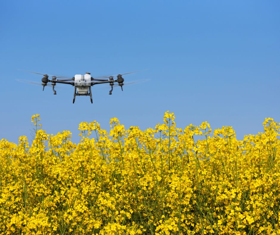 drone