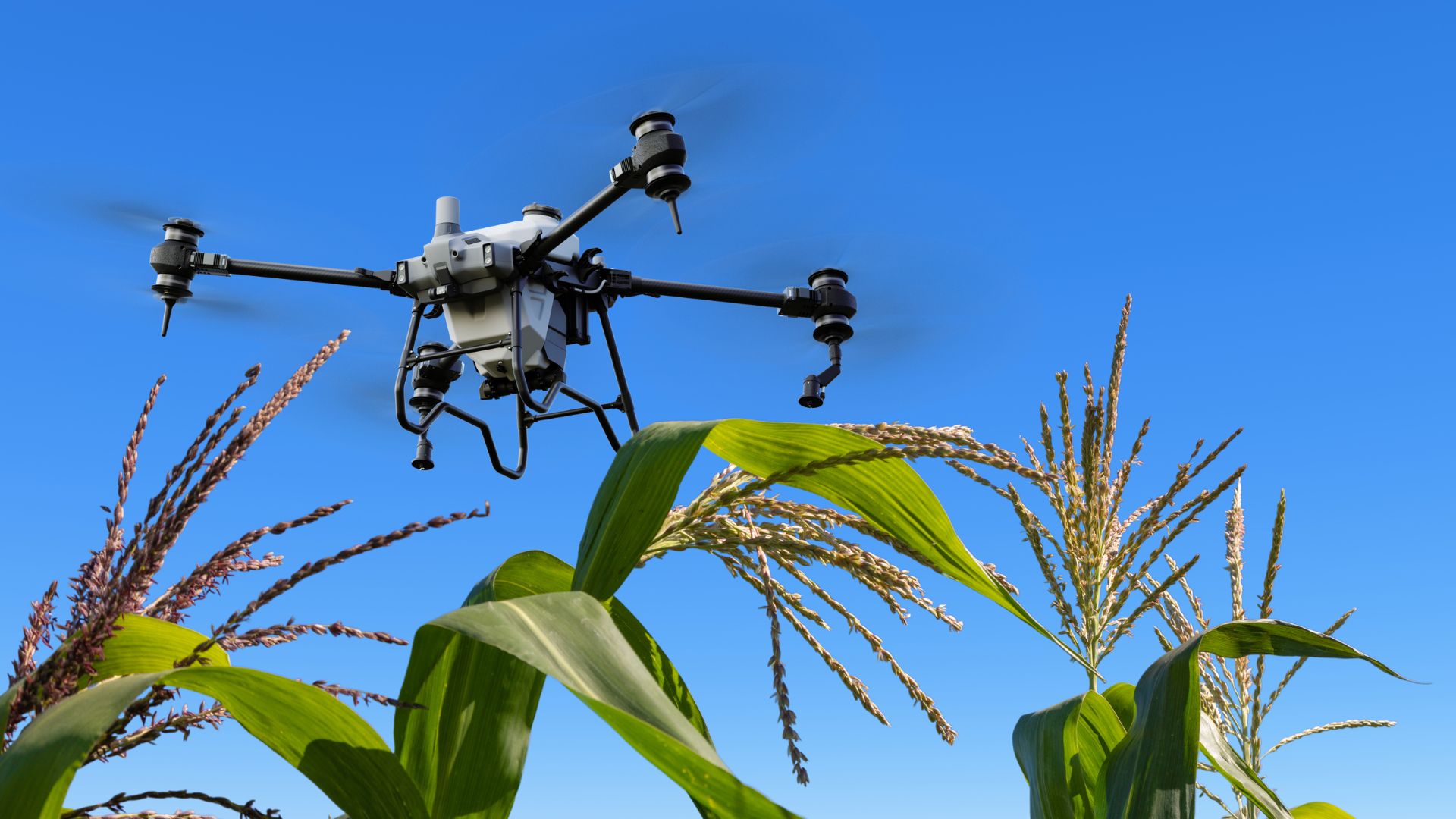 drone
