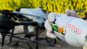 AGRONIX здійснює обробку посівів кукурудзи агродроном DJI Agras T50 проти шкідників гербіцидом Вантакор від FMC