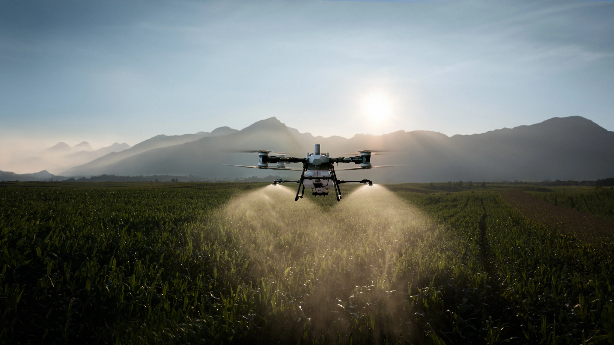 drone photo
