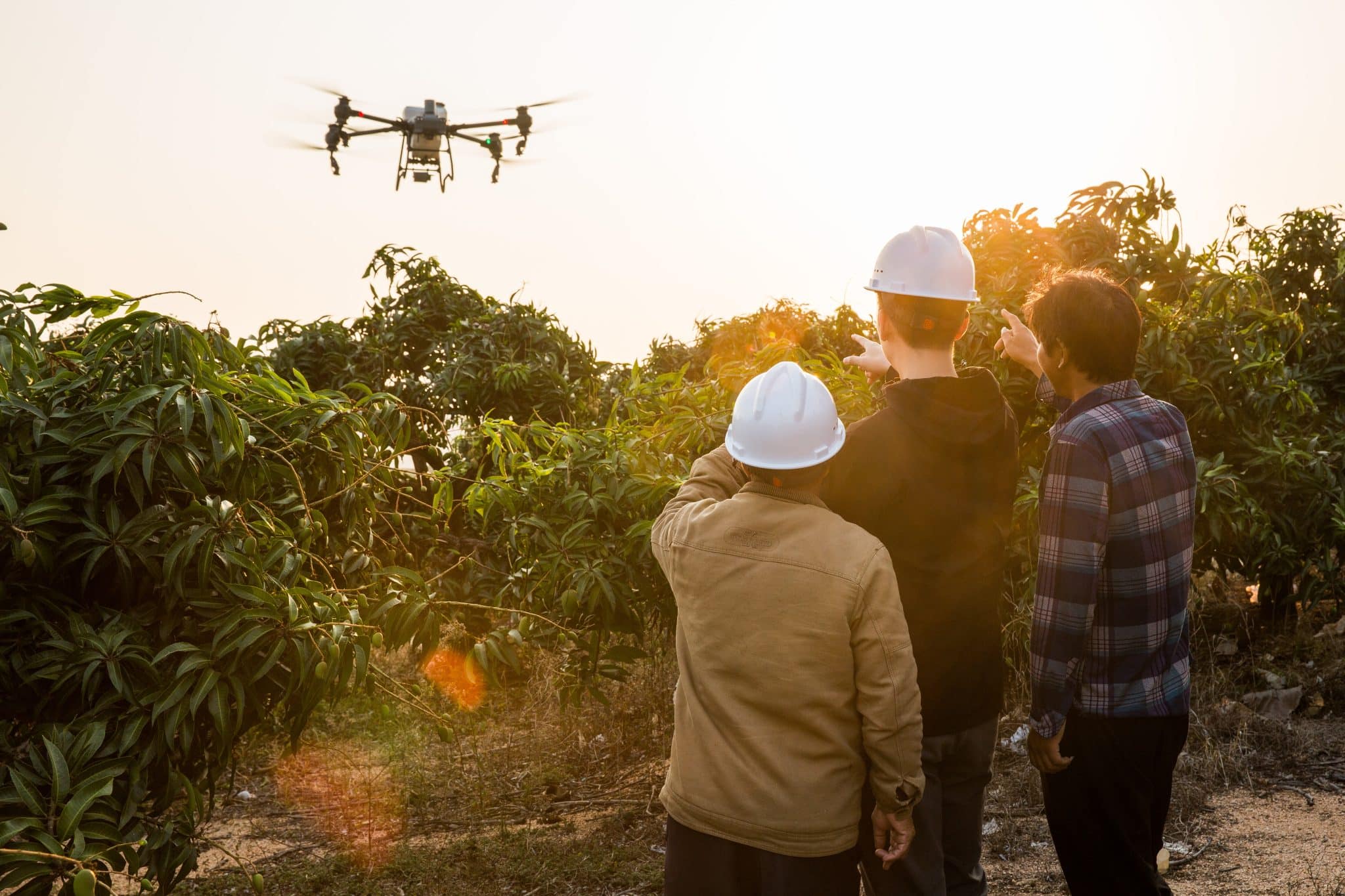 drone