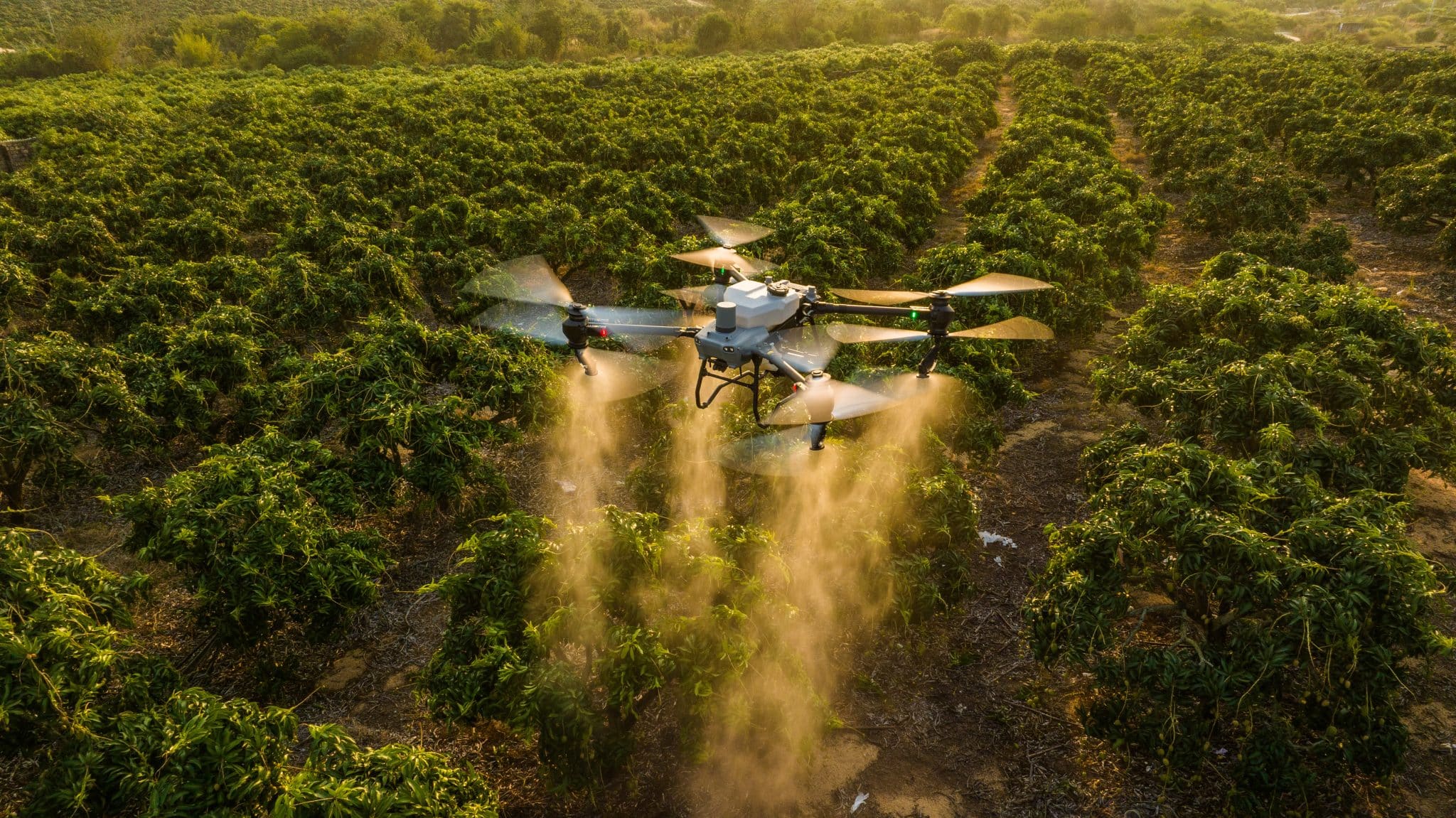 drone