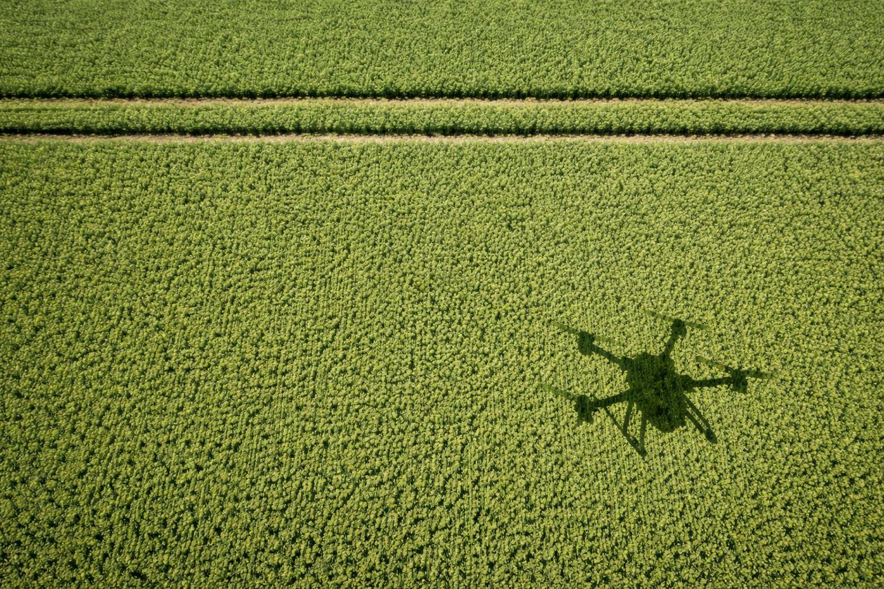 drone