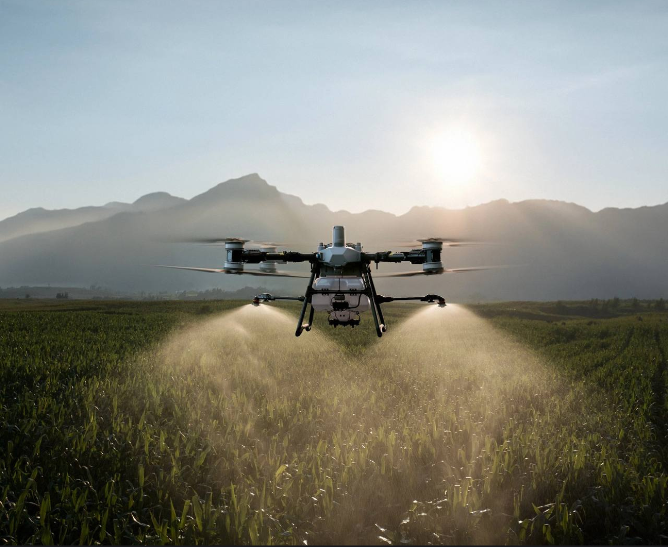 drone photo