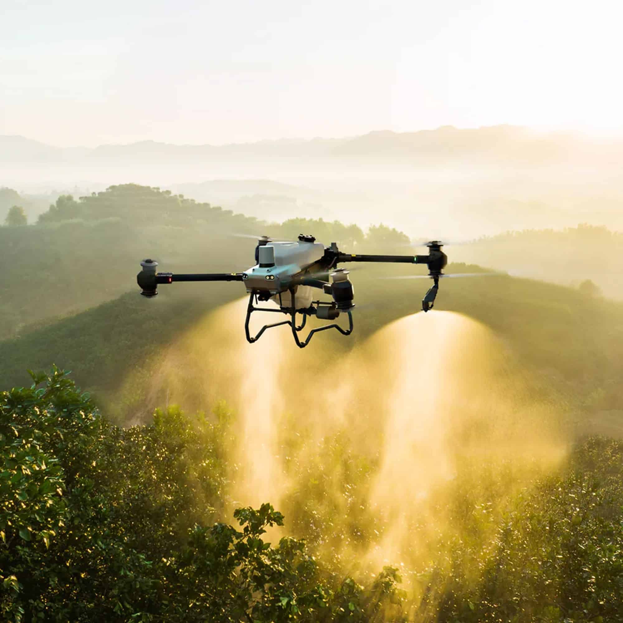 drone photo